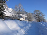 Winterimpressionen rund um das Landhaus Fellnerbauer